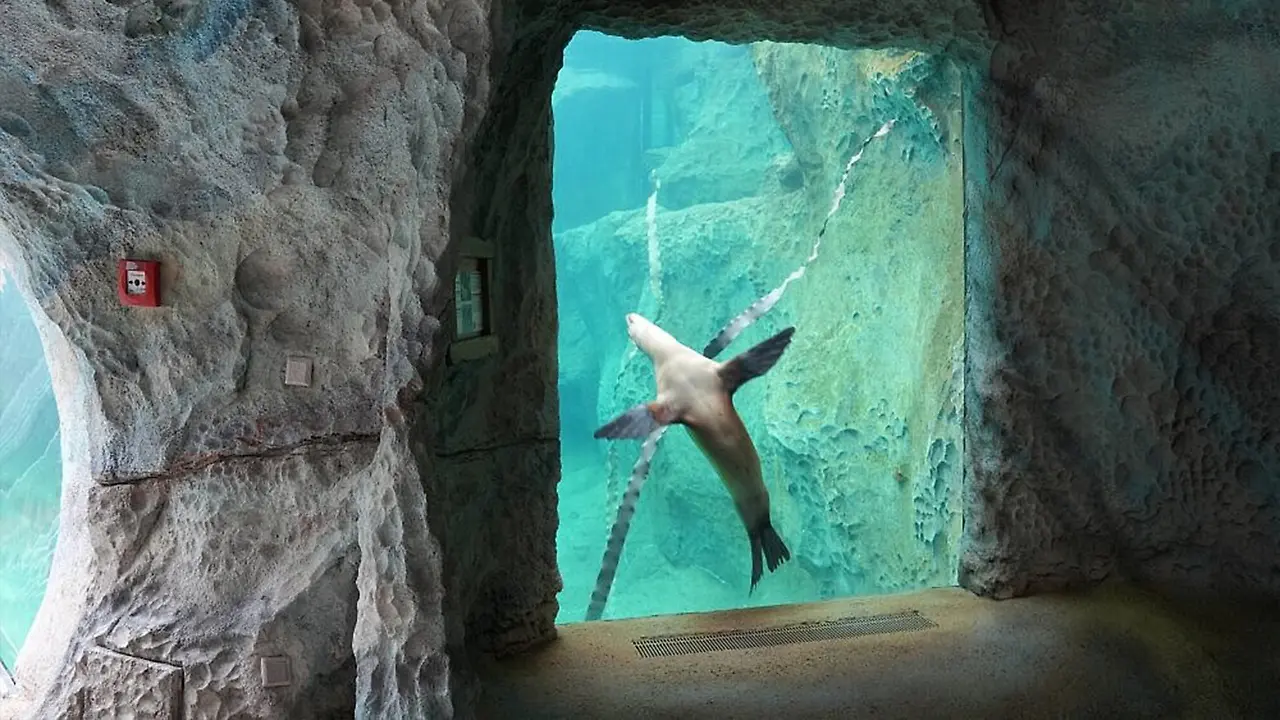 Entdeckertage_Wasserwelte_2026_Anlage_Feuerland_Zoo.jpg